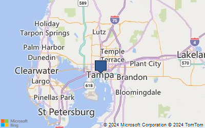 Tampa FL google maps